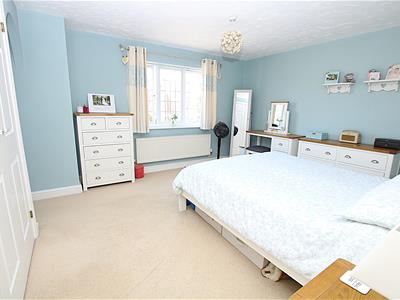 Picture 15